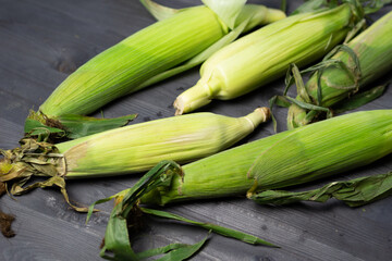 fresh ears of corn maize in leaves on black wooden background