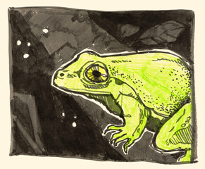 The frog on a black background. Sketchbook style. Sketch animal.