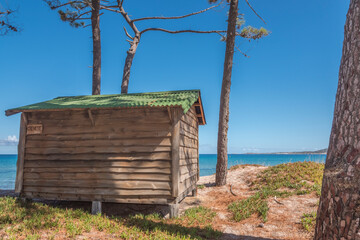cabanon sous les arbres au bord de mer