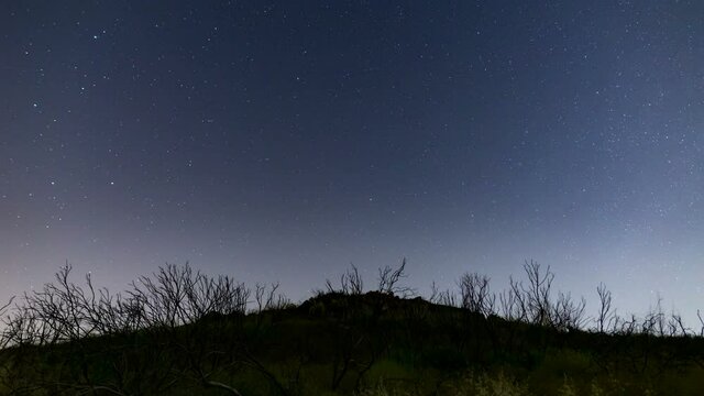  Astro timelapse of Polaris star rotating over dead trees on a hill in Malibu, California
