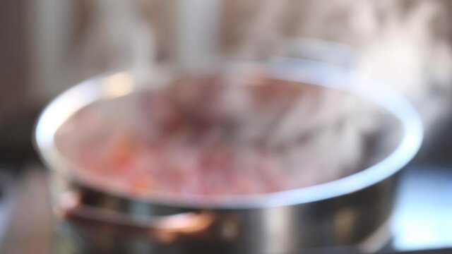 The camera focuses on vegetables being stewed in a stewpan against the backdrop of bright sunlight