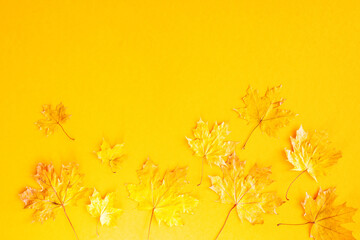 Autumn bright background. Yellow autumn maple leaves on a yellow background, top view, copy space.