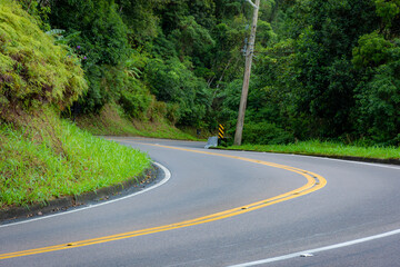 Rodovia simples asfaltada com vegeta&ccedil;&atilde;o aos lados