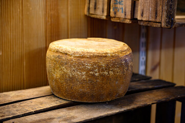 Cheese collection, French beaufort or abondance cow milk cheese from Savoy region
