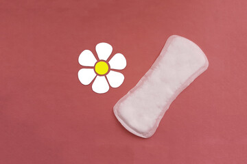 Camomile flower, women's daily pad on pink background. Personal hygiene product.