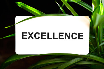 EXCELLENCE text on white surrounded by green leaves