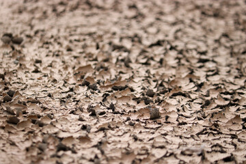 Dried slush. Texture cracked dirt. Selective focus. Macro.