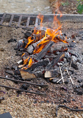 Closeup of fire wood