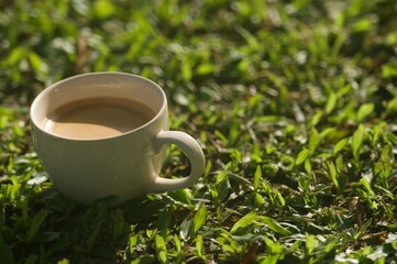 Lighting from sunshine with hot coffee in white cup on the grass field