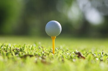 golf ball on green grass,Golf sport is Balance of Yin Yang.copy space left and right for adding text.