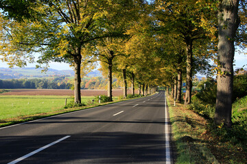 Schoene Straßen im Herbst bei bunter Laubfaerbung. Rhoen, Thueringen, Deutschland, Europa