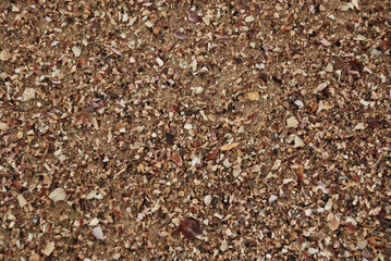 Beach sand texture. Broken seashells background. Colorful sand surface of a beach with clear sea water.