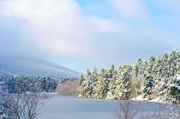 Beautiful winter landscape. Blue sky. Dark and light clouds. Ice-covered lake. Snow-covered forest on banks of frozen pond in city park. Selective focus. Copy space.