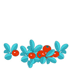 Vector stock illustration of cranberries. A branch of cranberry berries with leaves. Beautiful autumn card with a border at the bottom . Space for text isolated on a white background. Wild berry 