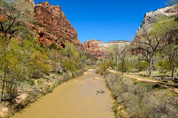 Beautiful scenery in Zion National Park located in the USA in southwestern Utah.