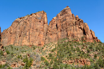 Fototapeta premium Beautiful scenery in Zion National Park located in the USA in southwestern Utah.