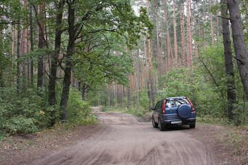 Obraz na płótnie Canvas suv.car on forest road among trees.