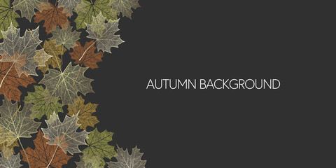 Autumn skeleton maple leaves on dark background. Frame made of fall leaves. Vector illustration