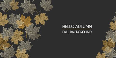 Autumn background. Skeleton maple leaves on dark background. Frame made of fall leaves. Vector illustration
