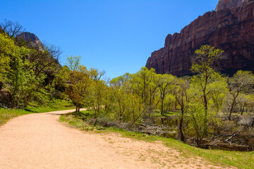 Fototapeta na wymiar Beautiful scenery in Zion National Park located in the USA in southwestern Utah.