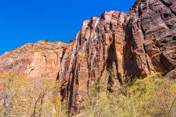 Beautiful scenery in Zion National Park located in the USA in southwestern Utah.