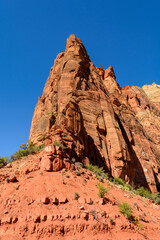 Fototapeta premium Beautiful scenery in Zion National Park located in the USA in southwestern Utah.