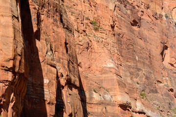 Beautiful scenery in Zion National Park located in the USA in southwestern Utah.