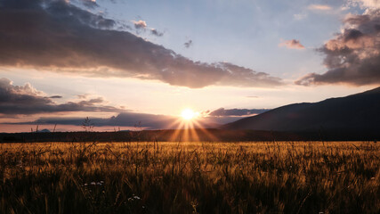 sunset over the field