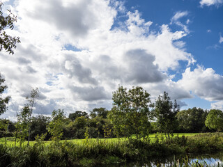 WHITE CLOUDS AND BLUE SKY