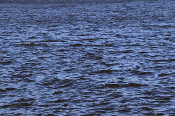 Cold river water with soft waves up close.