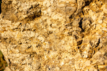 Empty clay soil wall,close up of background