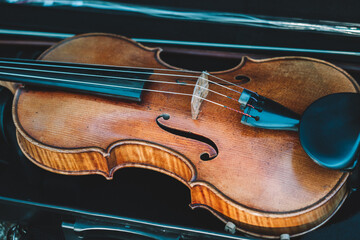 violin