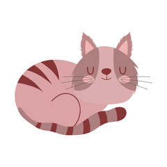 strpied brown cat animal pet resting isolated design white background