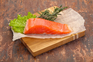 Piece of raw salmon