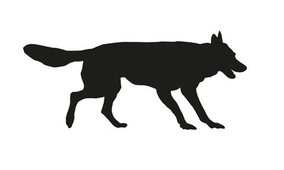 Black silhouette of running czechoslovak wolfdog puppy. Isolated on a white background.