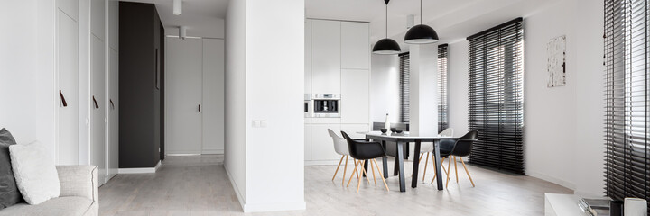 Spacious black and white apartment, panorama