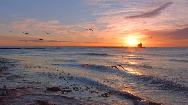 Slow motion, graceful seagulls fly along shore at sunrise, with lighthouse in background
