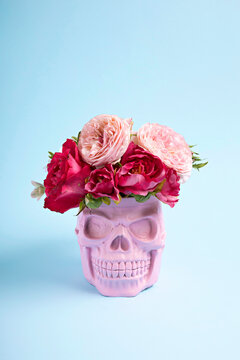Skull with flowers on blue background. Halloween creative concept. Magic surreal image. Witch ritual atmosphere.