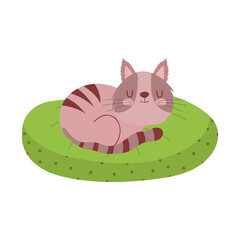 cute cat sleeping in green cushion isolated design white background