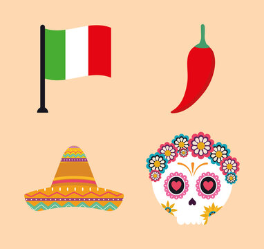 Mexican flag chilli hat and skull head vector design