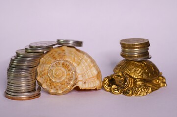 Fototapeta na wymiar Shell with coins in close-up. Money for travel. Next to it is a metal turtle.