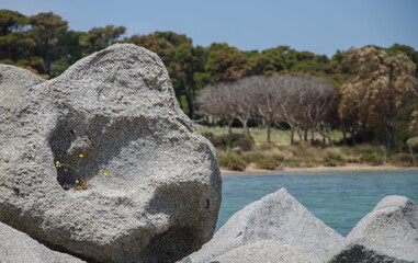 Mittelmeerküste auf Sardinien