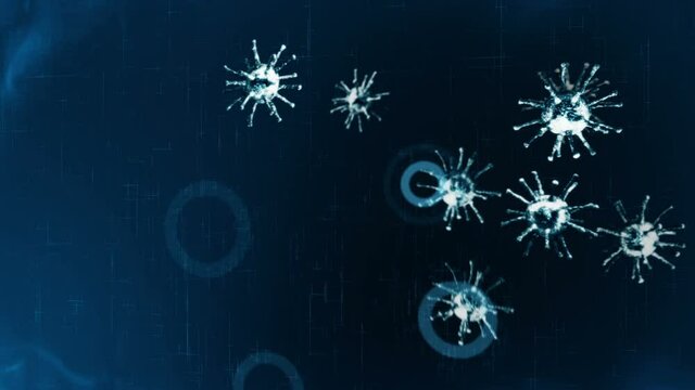 Healthcare protection shield. Medical immune system concept. Bacteria and virus defense. Protect. Antibacterial. Resistance antimicrobial. Loop animation.