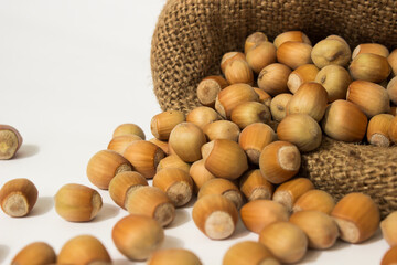 ripe hazelnuts in a peel on a white background