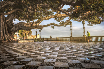 Un paseo por la Alameda Apodaca, Cadiz, andalucia, españa