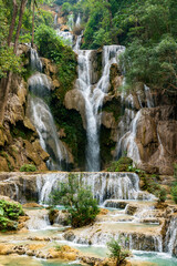 Fototapeta na wymiar Tat Kuang Si, Wasserfall bei Luang Prabang in Laos.