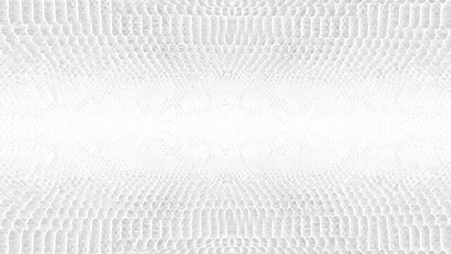 abstract parallax background texture of white snake skin python pattern stylish fashion animation
