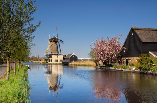 View at windmill De Vriendschap