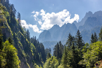 Obraz premium road in the austrian alps on a sunny day