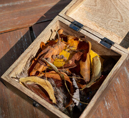 Wooden box filled with yellow and orange leaves and seeds, the treasures autumn